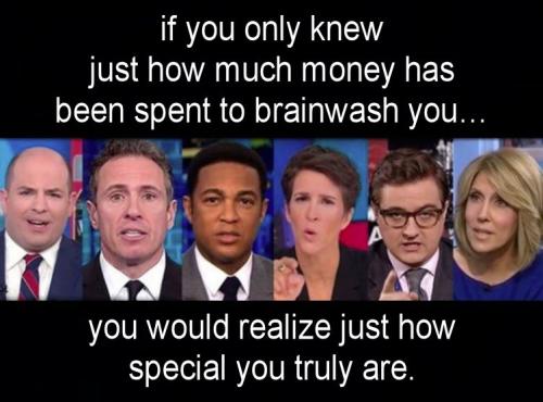 if you only knew just how much money has been spent to brainwash you