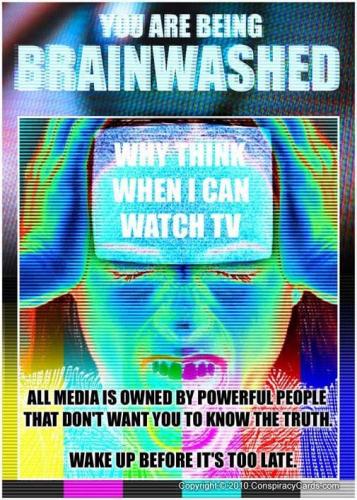 media brainwashed