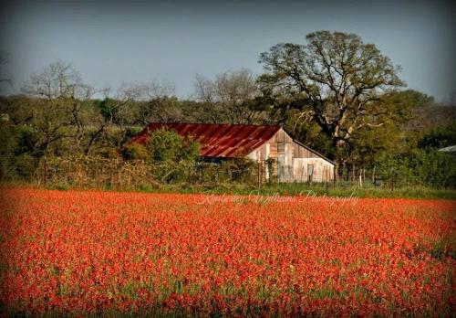 hgI8XZdcPLmXkQP8yeBHoA