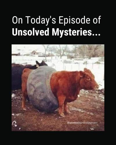 FB_IMG_1663386616857