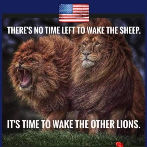 717e7b8e-9b95-4192-8be3-1d4b3a871a7a