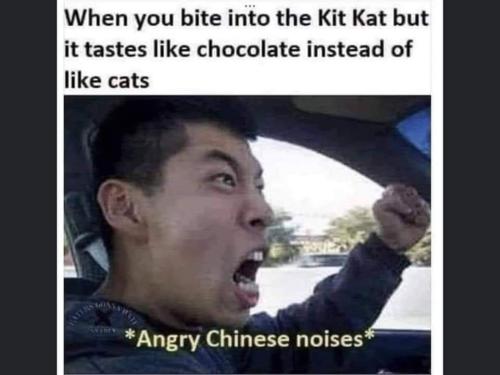 FB_IMG_1662735304268