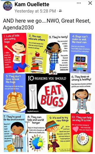 Screenshot_2022-09-13-10-23-40-907_com.facebook.katana