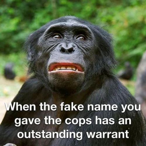 307932014_5645245648854787_7102243604231822463_n