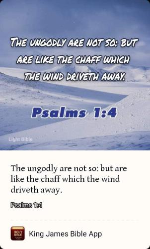 FB_IMG_1664427794648