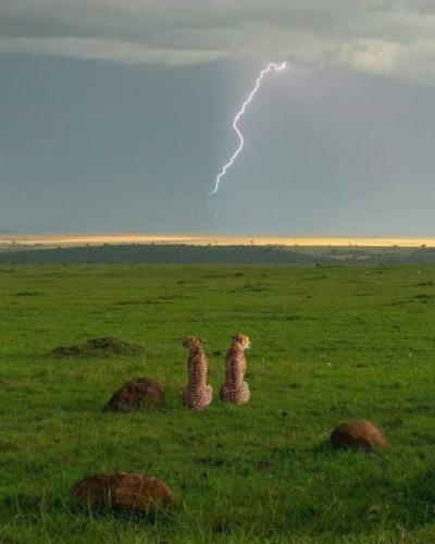 tumblr_747110d2cfa95af2e64f74eff0fec93f_64f1ff1f_540