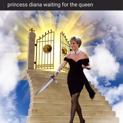 FB_IMG_1662774259559