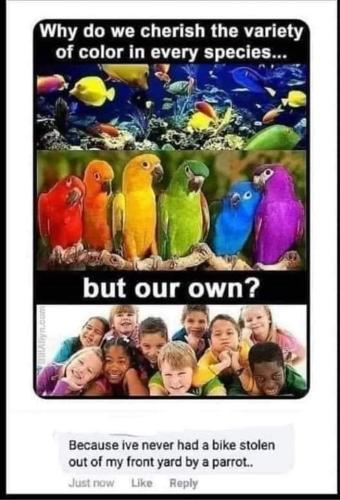 FB_IMG_1664033776636