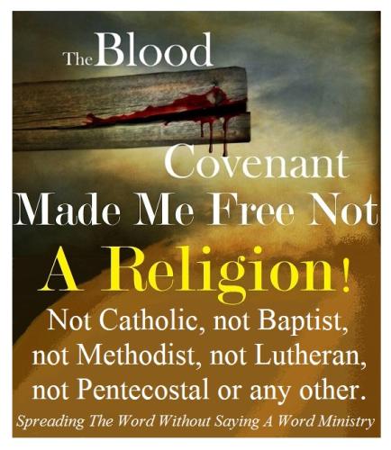 11222696_929503567131775_4101316369205528464_o