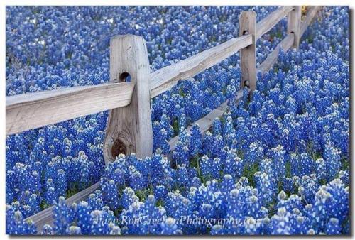 _lBQfRtFRjaYt2-SqlMgGg