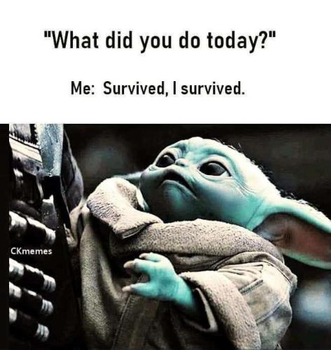 IMG_20220701_023142_837