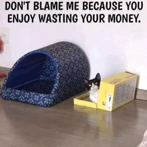 Screenshot_2022-09-07-14-23-00_kindlephoto-33768010