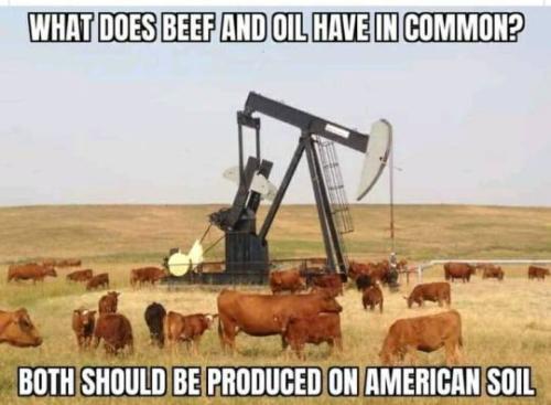 tumblr_6d51aa9f291aa7e488b06f8d6994db0b_eea178c9_540