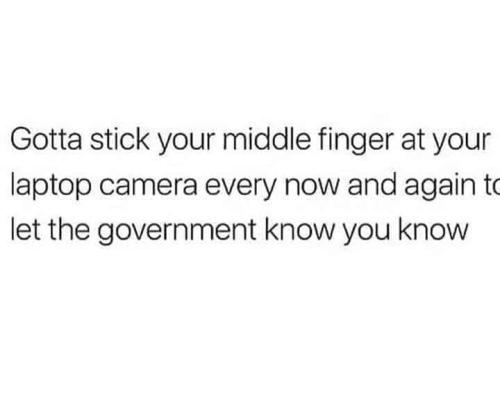 Gov 1