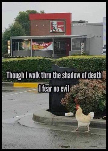 FB_IMG_1662746000296