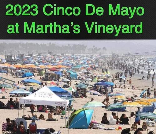 m vinyard 23