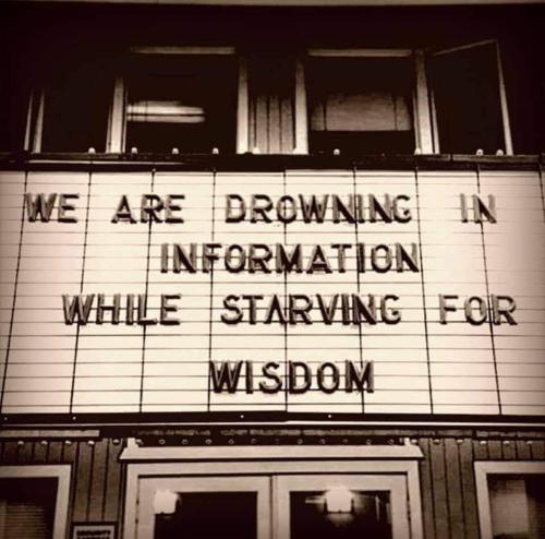 FB_IMG_1664368578313