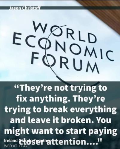 xephula_891d85883dc9613d6ba4ac1bd4bd6677