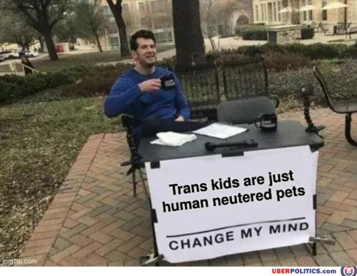 trans-kids