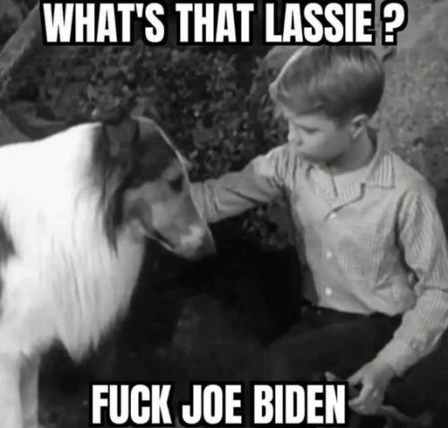 fuck joe biden70