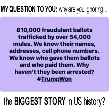 voterfraud352