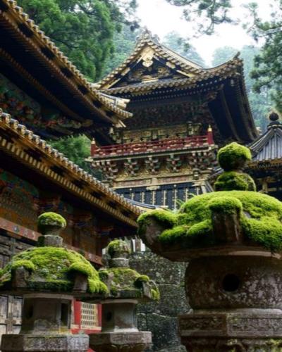 305533281_10161687481972619_4009733076215557908_n