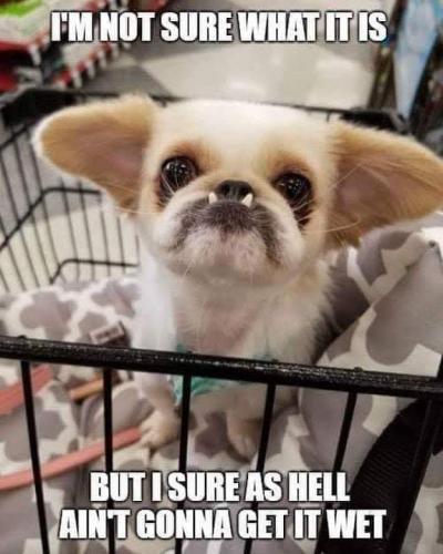 FB_IMG_1662531292195