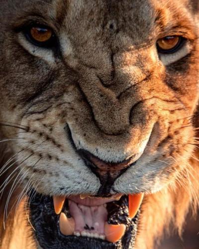 tumblr_fb68d81b2da84299686d5f534f6bc185_f0c7f7bc_540