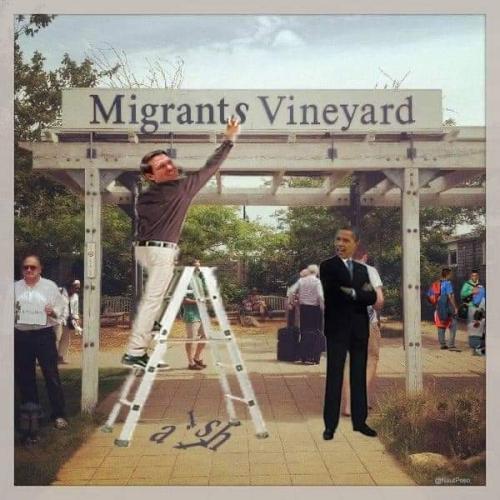 402c7ca406675c0a1d9327dfd94c595d_500