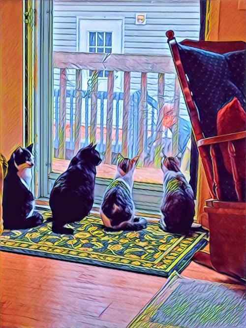 IMG_20220106_134605581