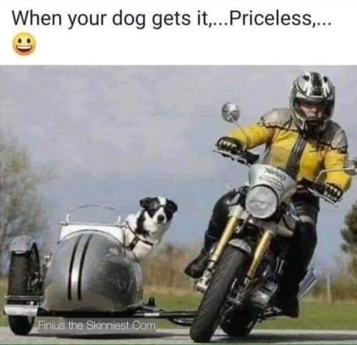 FB_IMG_1662662397102