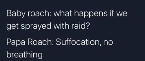FB_IMG_1664215516328