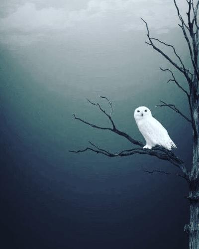 tumblr_9f9659a8c61455e06096a58fc67e0a3b_1fc1e0c6_540