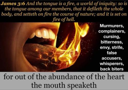 Screenshot_20220929-114437_MeWe