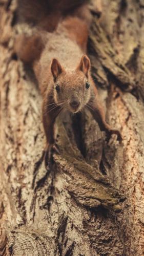 tumblr_542cbbd001d95baf5c64307382c096da_ed7b4797_640