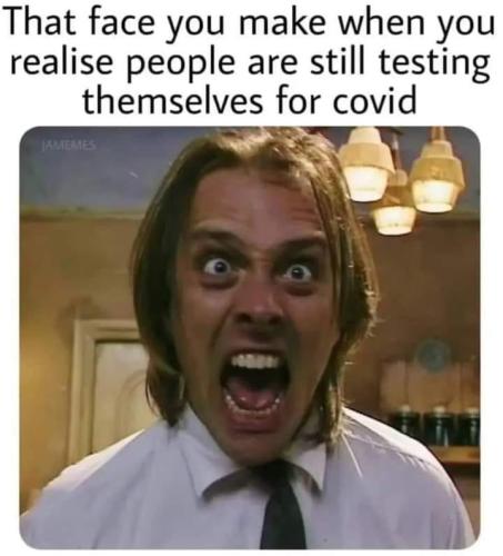 305163350_433507588768566_6484671374361410981_n
