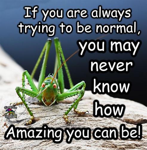 306124172_3266765220262019_4855133782383823965_n