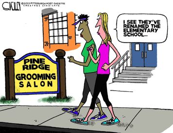 sk090222dAPC-375x275