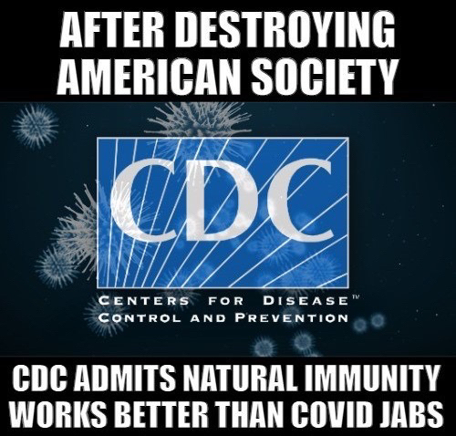 30C6075D-0573-43C8-AAF9-959A6270BC9A-74079-00000ED55D039DB5