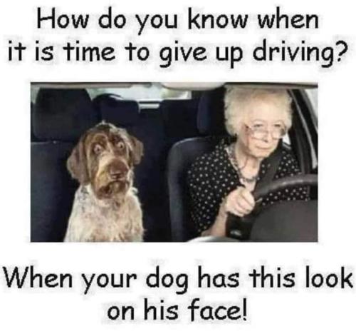FB_IMG_1663344254278