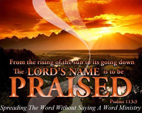 12184010_948956718519793_6581555054785963191_o