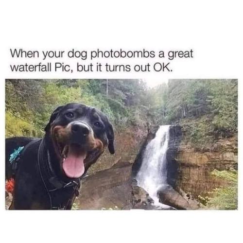 308554787_106747825531571_3791809342916388382_n