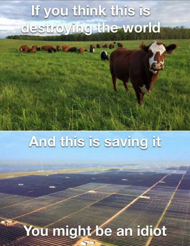 sngine_e2e1fcddf3bfc2d0eb2ffc6b43a8d490