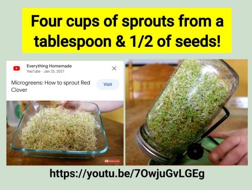 Screenshot_2022-09-10-09-52-29-446_cn.wps.moffice_eng