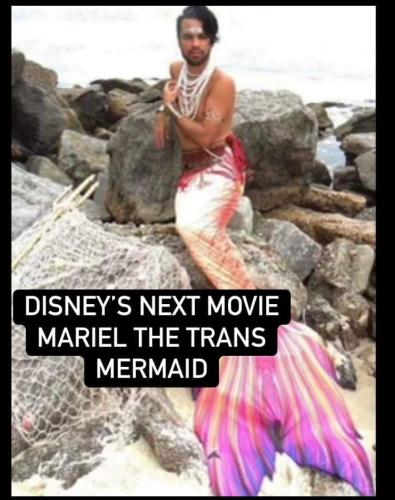 FB_IMG_1663764311684