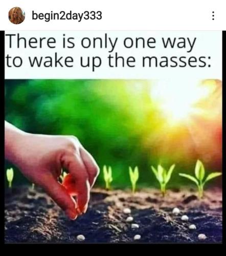 Screenshot_2022-09-05-09-22-06-954_com.instagram.android