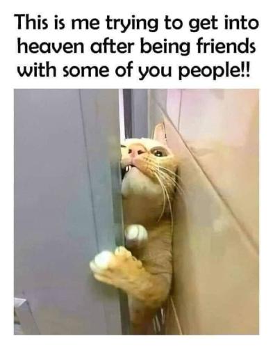 FB_IMG_1663620253222