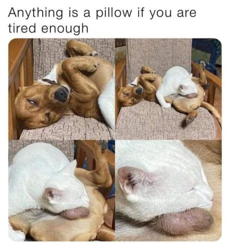 FB_IMG_1662663640445