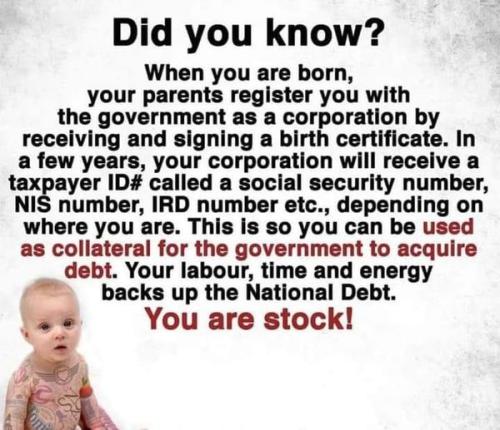dyk