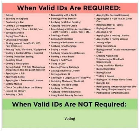 voterfraud355